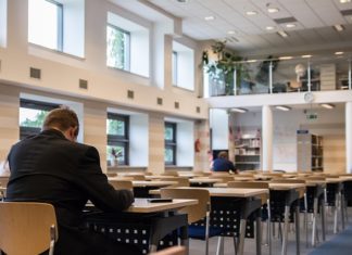 Jaką pracę wykonuje doradca zawodowy