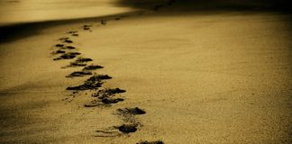 Statua Wolności w Nowym Jorku