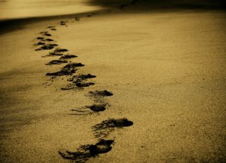 Statua Wolności w Nowym Jorku