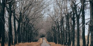 Jak przygotować się do wycieczki w góry