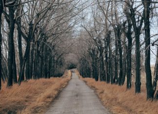 Jak przygotować się do wycieczki w góry