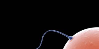 Ciaża bez objawów i inne