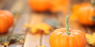 Królowa jesieni – smaczne i proste przetwory z dyni