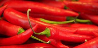 Czy kapsaicyna leczy?