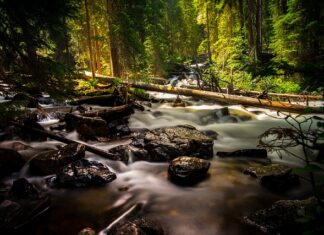 Ile kul wełnianych do suszarki?