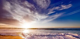 Czy picie wody z cytryną obniża cholesterol?