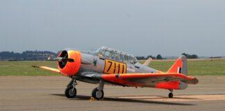 Jaka obroża żeby pies nie ciągnął?