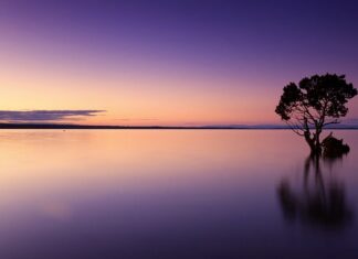 Jak często wymienia się wodę w akwarium?