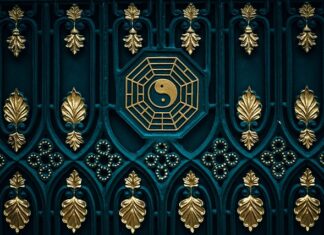 Co lepsze sucha czy mokra karma dla kota? Co lepsze sucha czy mokra karma dla kota?