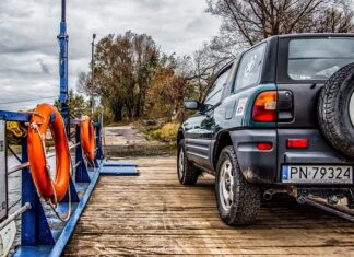 Jak najlepiej przewozić psa w samochodzie?