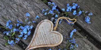 Czy niezapominajki można jeść?