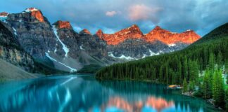 Jak sprawdzić czy dany kamień nadaje się do akwarium?