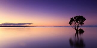 Czy do suszarki wlewa się wodę?