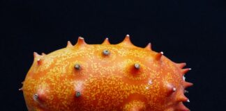 Jak zrobić kompot z gruszek do słoików?