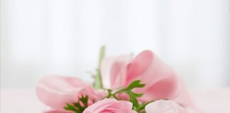 Co można zrobić z kwiatów rumianku?