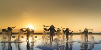 Kiedy dodajemy sól do rosołu?