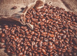 Czy warto jeść fasolę z puszki? Czy warto jeść fasolę z puszki?