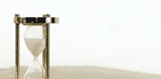 Jak daleko może uciec pies?