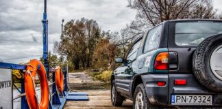 Jak można przewozić psa w samochodzie?