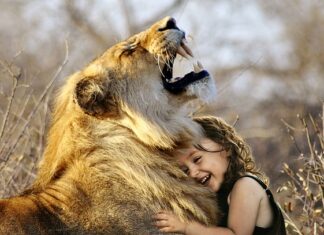 Jaka jest najlepsza potrawa na świecie?