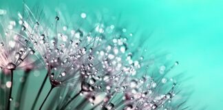 Czy kropelka sklei kamień?