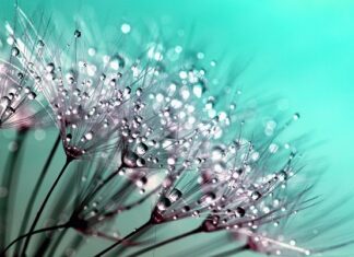 Czy kropelka sklei kamień? Czy kropelka sklei kamień?