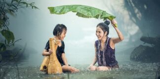 W jakich produktach są kultury bakterii?