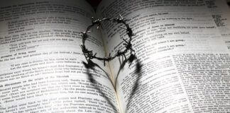 Co to są perełki do prania?