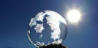 Czy dla psa jest zimno?