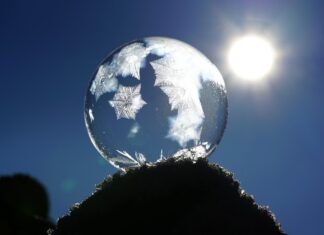 Czy dla psa jest zimno?