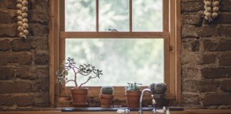 Co daje czosnek w rosole?