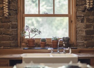 Co daje czosnek w rosole?