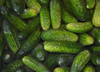 Czy wodą z ogórków kiszonych zakwasza organizm?