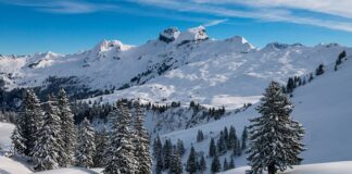 Czy da się uratować zbity puch w kurtce?