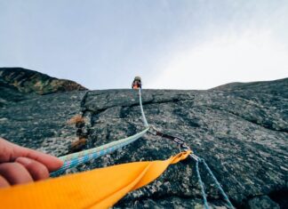 Z której strony powinno się prowadzić psa?