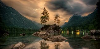 Jak zrobić skały w akwarium?