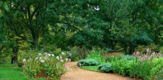 Gdzie wyrzucać brudny żwirek dla kota?