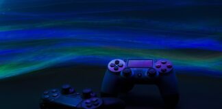 Jak podróżować z psem rowerem?