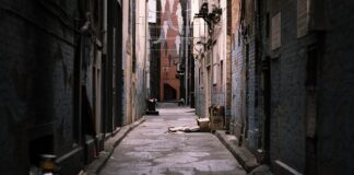 Czy można samemu wywozić śmieci na wysypisko?