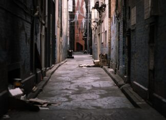 Czy można samemu wywozić śmieci na wysypisko?