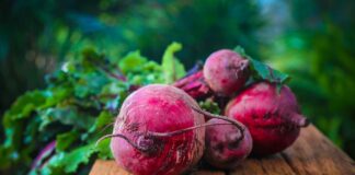 Czy buraki zakwaszają organizm?