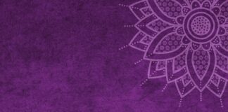 Czy można dostać mandat za psa w samochodzie?