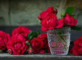 Gdzie powinny stać pojemniki na śmieci? Gdzie powinny stać pojemniki na śmieci?