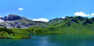 Czego nie powinno się jeść przy wysokim cholesterolu?