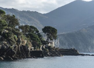 Ile kosztuje legowisko dla małego psa?