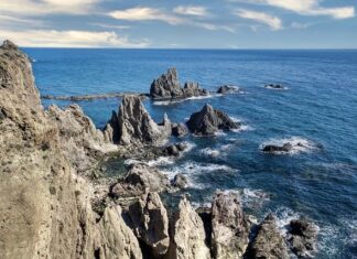 Czy rafy koralowe wymierają? Czy rafy koralowe wymierają?