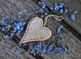 Czy niezapominajki są trujące?