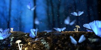 Jakie drewno nie gnije w wodzie?