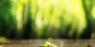 Jak zrobić własny krem?