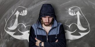 Jakie są rodzaje systemów korzeniowych?